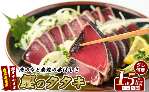 【カツオのたたき だしポン酢付き！】カツオ堪能セット(指宿食品/IB026-002)