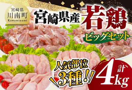 【 小分け 】 宮崎県産 若鶏 4kg ビッグ セット 【 もも むね ささみ セット 鶏肉 とり肉 ごはん 料理 大容量 】
