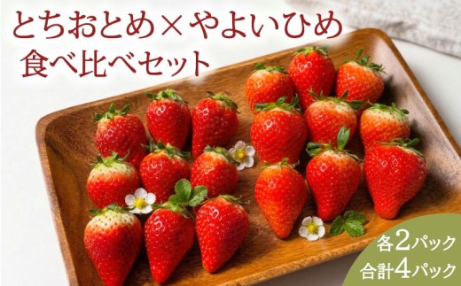 いちご とちおとめ やよいひめ 食べ比べセット 約 1kg (250g × 各2パック) 苺 ストロベリー 果物 フルーツ ジャム ゼリー ケーキ いちご大福 フルーツサンド ショートケーキ 期間限定 ふるさと納税 ふるさと納税いちご 冷蔵 strawberry 産地直送 くだもの ギフト プレゼント 贈答 ichigo itigo 送料無料 千葉県 銚子市 神原いちご園 【1月~5月上旬発送】