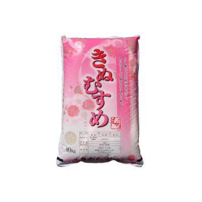 ふるさと納税 米子市 令和7年度 きぬむすめ10kg(精白)