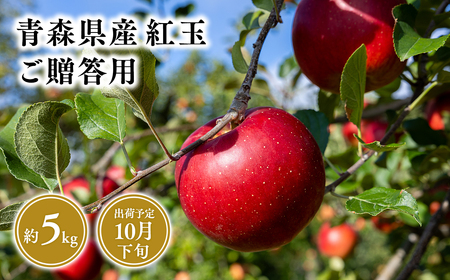 【レビューキャンペーン】2026年産１０月発送　贈答用紅玉5ｋｇ　【そと川りんご園・１０月・青森県産・平川市・りんご・紅玉・5ｋｇ・贈答用】りんご リンゴ 林檎 りんご 青森 平川市産 [hi-0053-033]