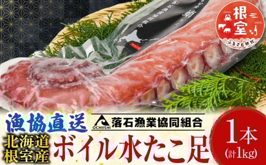 A-20007 【北海道根室産】ボイル水たこ足1本(1kg)