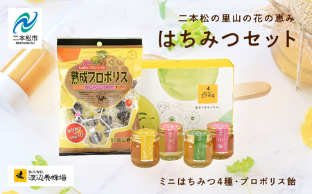 はちみつセットA 4種のはちみつ 各50g入りセット はちみつ 調味料 人気 ランキング おすすめ ギフト 故郷 ふるさと 納税 福島 ふくしま 二本松市 送料無料【道の駅「安達」智恵子の里】