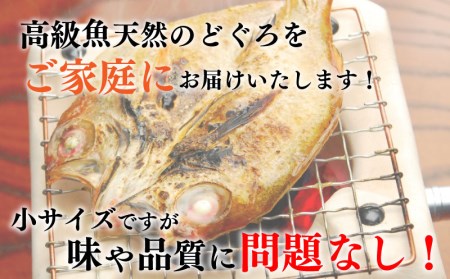 のどぐろ 高級魚 開き 干し 訳あり 下関 9尾 小サイズ AU304-NT