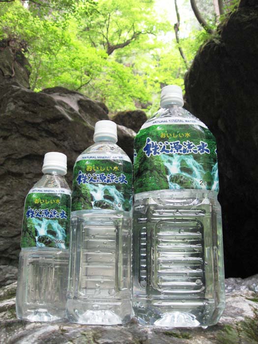 【ふるさと納税】 秩父源流水500ml×24本　2箱 ／ ナチュラルウォーター 500ml 48本 軟水飲みやすい 水 飲み水 料理用 備蓄 家庭用 常温 キャンプ 武甲山伏流水 ミネラルウォーター ペットボトル 平成の名水百選 武甲山伏流水 軟水 弱アルカリ性 送料無料 埼玉県 No.519