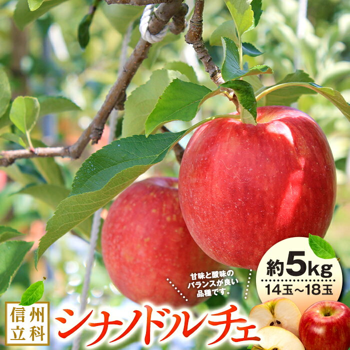 【ふるさと納税】 シナノドルチェ（約5kg、優14～18玉）| 果物 フルーツ りんご シナノドルチェ 信州 立科町