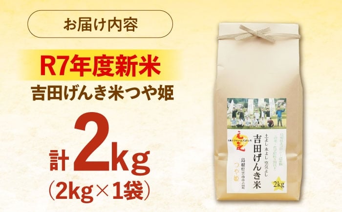 米 白米 おこめ げんき米 単品 つや姫 ごはん お弁当 国産 おいしい 