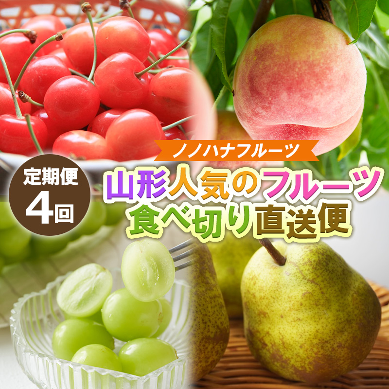 【定期便4回】ノノハナフルーツ 山形人気のフルーツ 食べ切り直送便【令和8年産先行予約】FS25-069