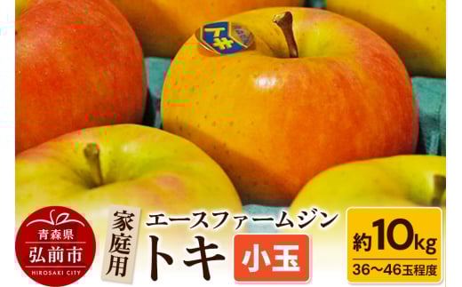 りんご【先行受付】トキ 家庭用 約10kg（小玉36～46玉程度）