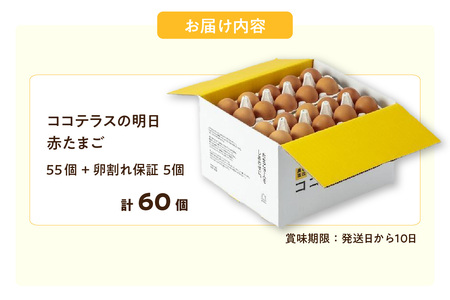 ココテラスの明日（赤たまご）55個 + 5個保証（計60個）【JGAP認証】 農家直送 新鮮 卵 タマゴ 赤卵 玉子 鶏卵 朝食 夕食 夜食 朝ごはん たまご焼き オムレツ 卵ご飯 料理 濃厚 飼料に