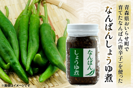 ご飯のお供 にんにくみそ 1本 なんばんしょうゆ煮 中辛 辛口 各1本 計 3本 セット 瓶 タイプ [みむら加工所 青森県 おいらせ町 oi02ayo810009] 