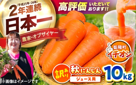 【先行予約】【2026年12月順次発送開始】【通常発送】【訳あり】ジュース用秋にんじん / にんじん ニンジン 野菜 β-カロテン ジュース用 食物繊維 抗酸化作用 臭み少ない 栄養満点 熊本県産 菊陽町   【株式会社 まゆみ農園】[BHCW007]