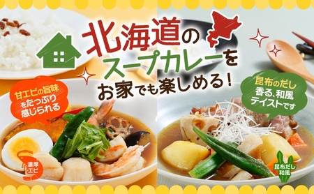 スープカレーの素 うちのスープカレー 2種セットC 計6袋 濃厚エビ味 昆布だし和風味 小分け スープカレー スパイス スープ カレー お取り寄せ ギフト ピーアンドピー 送料無料 北海道 札幌市
