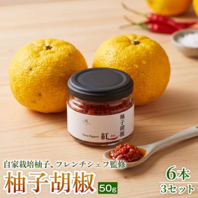 ふるさと納税 神河町 【香りと辛みで料理に深みを】スパイス薫る赤い柚子胡椒(瓶)50g ×6本 3セット