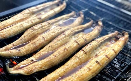 特選うなぎ蒲焼き2本定期便　計3回お届け ヤマシン