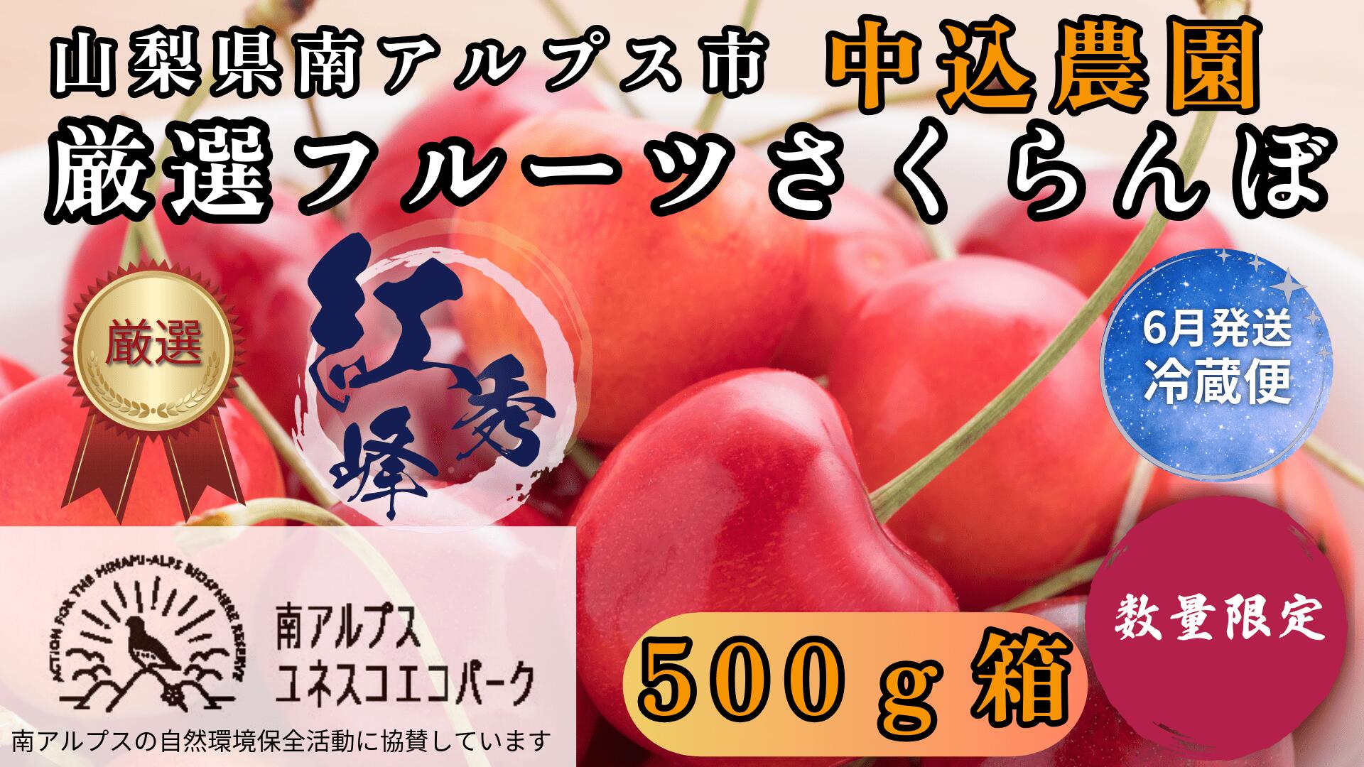 【ふるさと納税】＜2026年発送先行予約＞ 山梨県南アルプス市産 厳選さくらんぼ (紅秀峰) 500g 山梨県南アルプス市産 ふるさと納税 さくらんぼ サクランボ 紅秀峰 葡萄 果物 フルーツ おすすめ 山梨県 南アルプス市 送料無料 ALPEM004