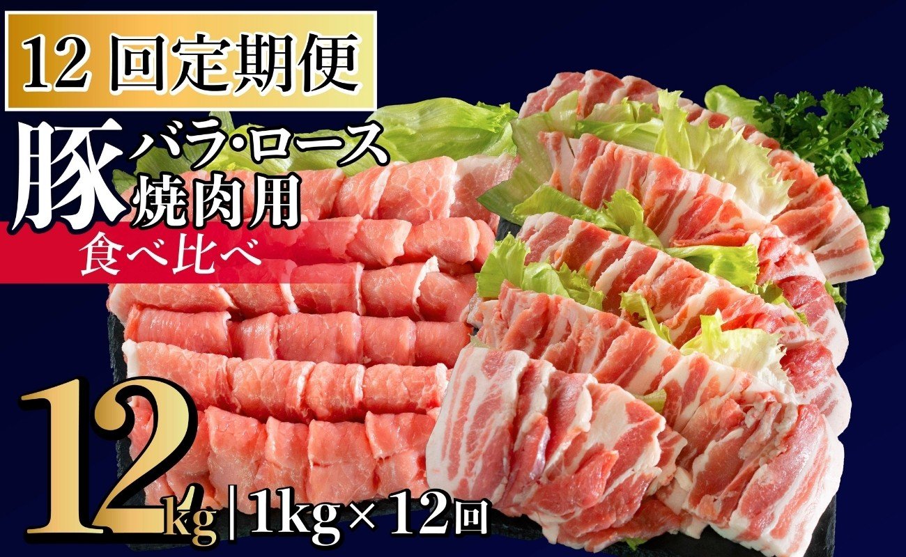 
            B604 《定期便》長崎県産豚 バラ･ロース 焼肉用 2種食べ比べ 計1kg(バラ500g×1･ロース500g×1)【12回お届け】
          