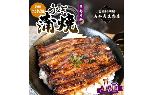 【2026年10月～順次発送】うなぎ蒲焼 1人前 1尾 冷蔵 三島名物 老舗 鰻問屋 うなぎ 蒲焼き 鰻 ウナギ 真空パック 浜名湖 土用丑の日 贈答用 惣菜 うな重 うな丼 伝統 贈り物 鰻料理 ウナギの蒲焼 和食 浜名湖うなぎ 山本実生商店 三島市 静岡県