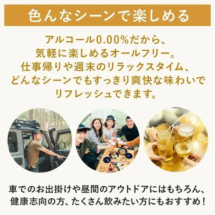 【2ヶ月定期便】サントリー　からだを想うオールフリー（500ml×24本）
