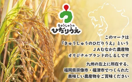 【令和7年産米】【2025年11月より順次発送】JAよりお届け！福岡県ブランド米「元気つくし」 5kg（5kg×1袋）[G2310]