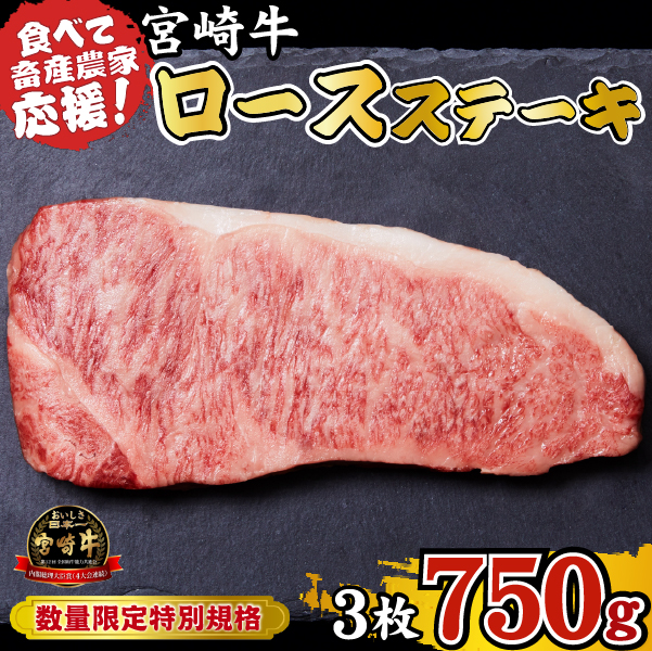 宮崎牛 ロースステーキ 750g（牛肉 黒毛和牛 畜産農家応援 ロース ステーキ 赤身 数量限定）