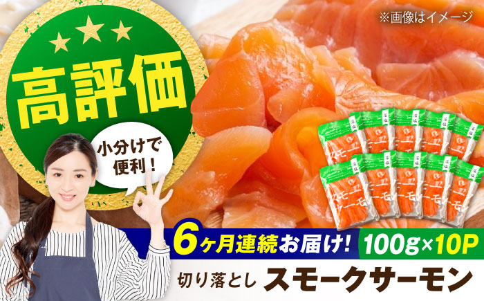 
            【全6回定期便】スモークサーモン （切り落とし）100ｇ×10パック　滋賀県長浜市/株式会社中村屋[AQAJ039] サーモン スライス 人気 冷蔵 定期便
          