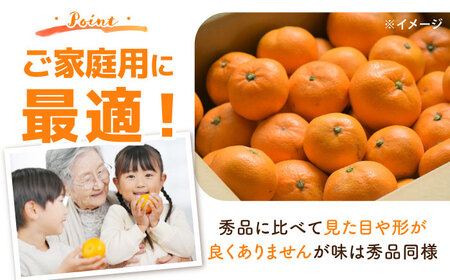 【訳あり】家庭用 南高みかん 5kg / みかん ミカン 蜜柑 果物 フルーツ / 南島原市 / 南高果樹農業協同組合[SGI001]