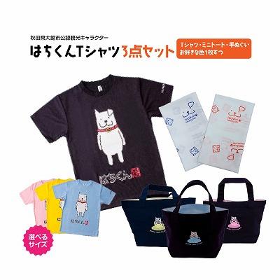 ふるさと納税 大館市 大館市観光キャラクターはちくんTシャツ3点セット