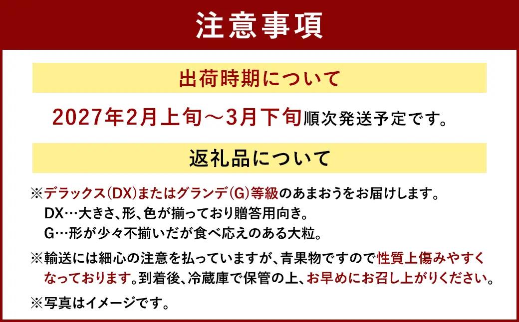 福岡産【春】 フルーツ専門店が選んだ あまおう 4パック いちご 苺 果物 フルーツ 福岡 太宰府【2027年2月上旬～3月下旬発送予定】