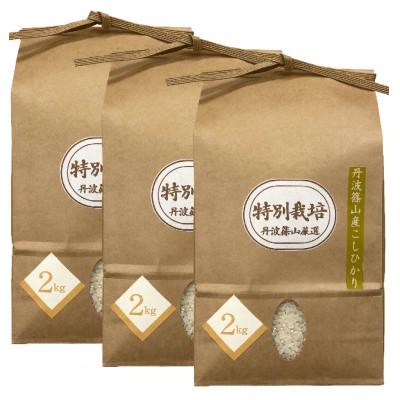ふるさと納税 丹波篠山市 丹波篠山産特別栽培米コシヒカリ2kg×3