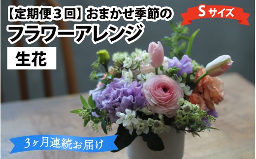 【定期便3回】おまかせ季節のフラワーアレンジ（生花）Ｓサイズ×3ヶ月【母の日申込期日：4/26（日）まで】【母の日発送予定日：～5/11（月）まで】お好み 日時指定可能 母の日