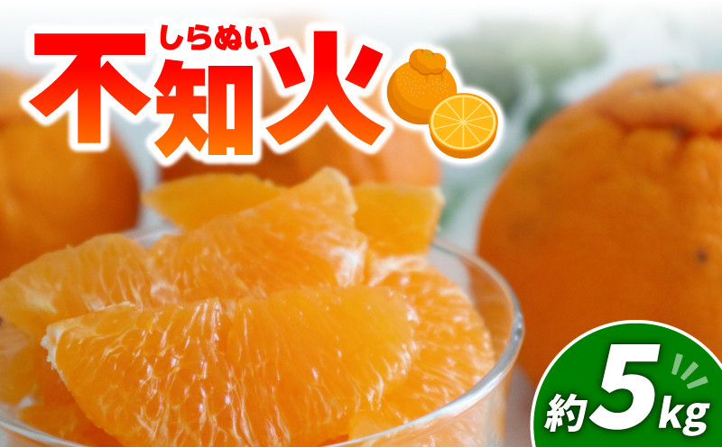 
            不知火 5kg | みかん 愛媛 松山 フルーツ 果物 くだもの 数量限定 期間限定 送料無料 柑橘 みかん フルーツ 果物 みかん ランキング 2025年度
          