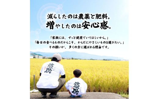 最短3日発送 新米 コシヒカリ 20kg 新潟県産 特別栽培米 単品 コンテスト 入賞 新潟 ふるさと納税 米 お米 特別栽培 白米 米 お米 こめ コメ ライス ご飯 ごはん 美味しい 贈り物 国産