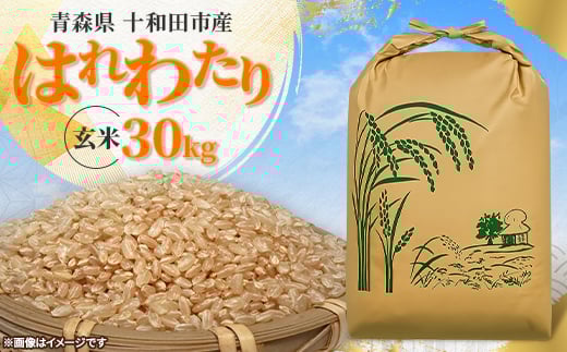 
            ＜令和7年産＞はれわたり30kg(玄米)【1680302】
          