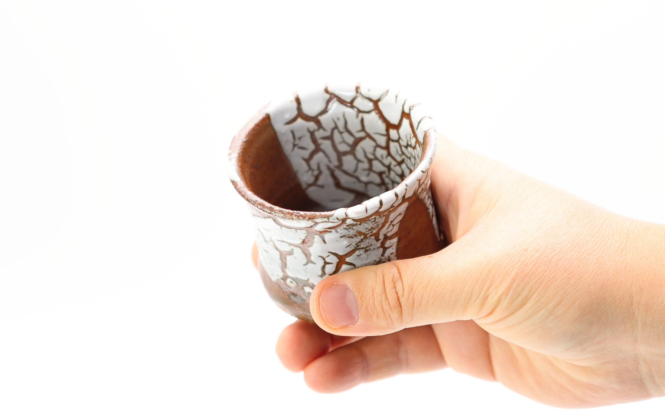 佐志山窯 蛇蝎唐津ぐい呑