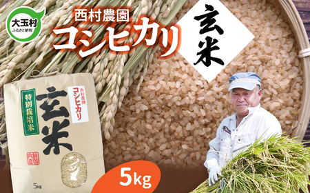 米 5kg コシヒカリ 【 令和6年産 】 玄米 ｜ 西村農園 コメ こめ お米 福島県 大玉村 ｜nm-kh05-g-R6