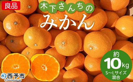 ＜木下さんちのみかん 良品 約10kg（S～Lサイズ混合）＞柑橘類 温州みかん ミカン 果物 くだもの フルーツ 特産品 木下農園 西宇和 愛媛県 西予市【常温】『2026年11月中旬〜12月下旬に順次出荷予定』MKS0004