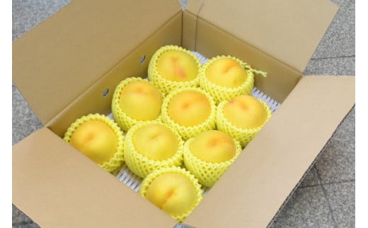 08-10-015　もも(光黄)3kg