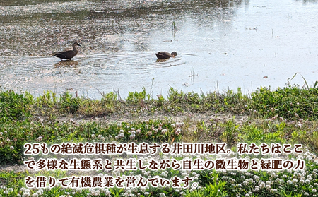 農薬・化学肥料不使用栽培「天のつぶ」5kg【70015】