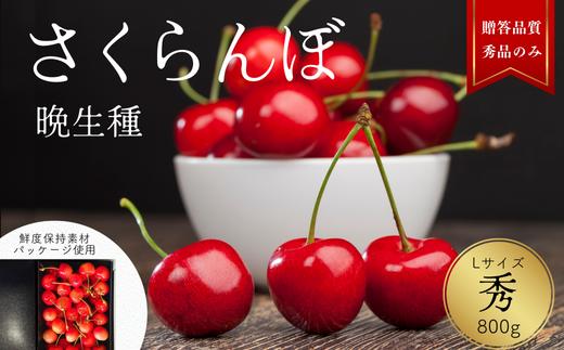 
                  YN04 さくらんぼ 【晩生種 秀 L玉クラス 約800g】ハウス栽培／2026年6月中旬～7月上旬頃 配送予定 // 長野県 南信州 さくらんぼ サクランボ チェリー 紅秀峰 山形美人 ナポレオン 紅てまり ハウス 栽培 約1㎏
                