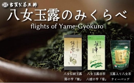
            高級茶・八女茶の老舗　古賀製茶本舗　「玉露日本一」福岡八女の玉露のみくらべ 玉露 八女 福岡 高級 八女茶 お茶 茶 緑茶
          