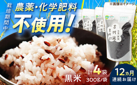 【12回定期便】自然農法で育てた 古代米 黒米 1.2kg（300g×4袋）雑穀米 /永尾 忠則[UAS019] 雑穀米 栽培期間中農薬不使用 特別栽培米 雑穀米セット 雑穀 常温 小分け チャック 