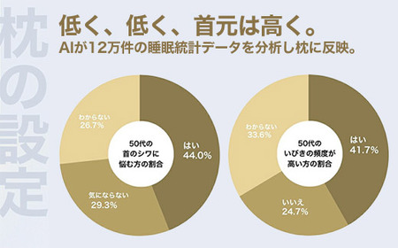50代向けの枕 THE PILLOW Preset 20 50s《60日以内に出荷予定(土日祝除く)》