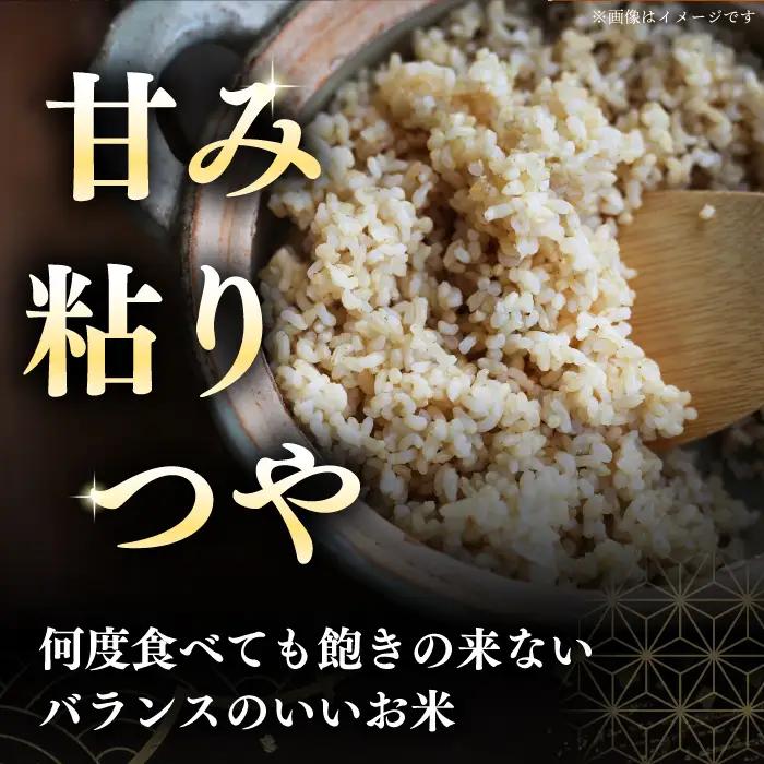 【令和7年産】 玄米 ななつぼし さくら米 30kg 玄米 [AXAB036]