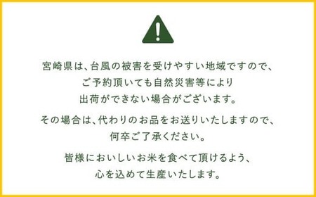 【無洗米】 ＜チャック付＞ 米 国産 令和7年産 コシヒカリ 宮崎県産（5kg×5） 