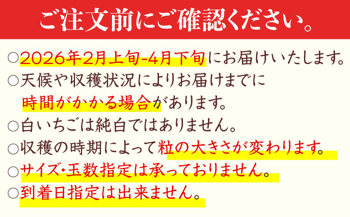 【先行予約】(2026年2月より発送) 【幻の白いちご】【化粧箱入り】白い宝石（贈答用）約450g  / 佐賀県 / 手島農園 [41ABAB005]