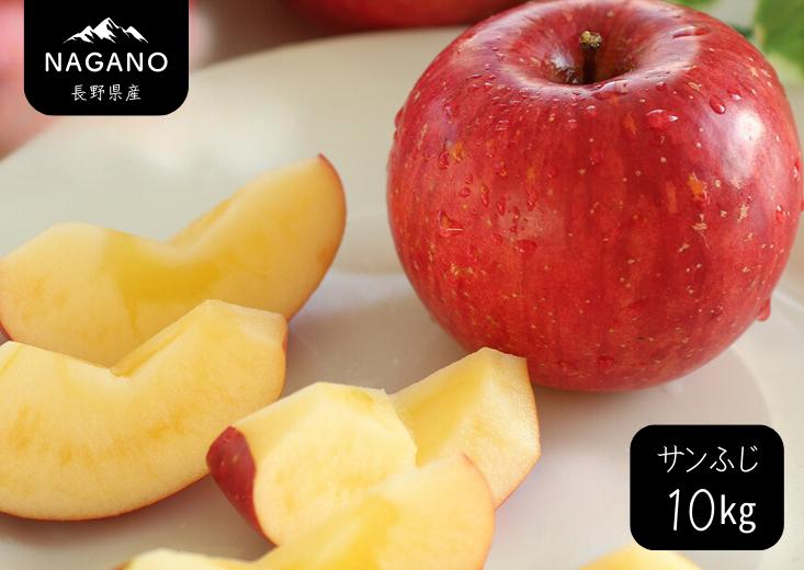 
            MS16-26A 【先行予約】 りんご サンふじ（長野県産秀品） 約10kg / 2026年11月下旬～12月中旬頃 配送予定 // 長野県 南信州 さんふじ サンフジ ふじりんご リンゴ 林檎 贈答 ふじ
          