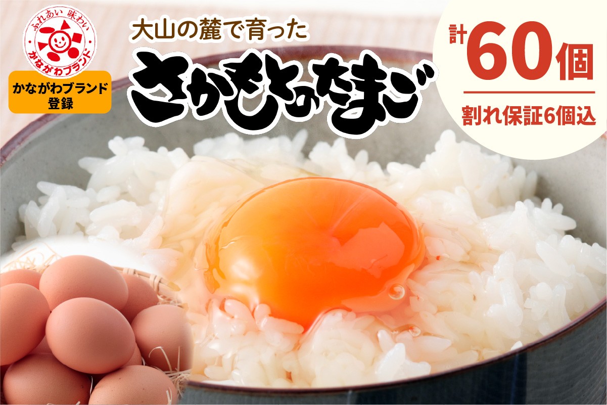 
                  坂本養鶏 大山の麓で育った さかもとのたまご 60個 (54個＋割れ保証6個)｜伊勢原市 赤玉卵 玉子 鶏卵 生卵 国産 TKG タマゴ 新鮮 大山 鶏 ギフト 安心 安全 親子丼 卵焼き 目玉焼き お菓子 [1298]
                