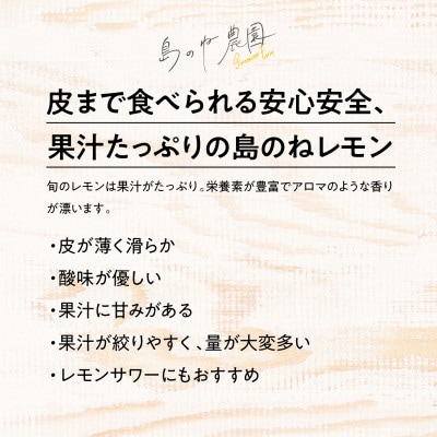 【訳あり】島のねレモン　2.5kg 【K001600】