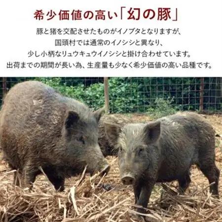 国頭イノブタ ロース(スライス) 1kg【配送不可地域：離島】【1580244】